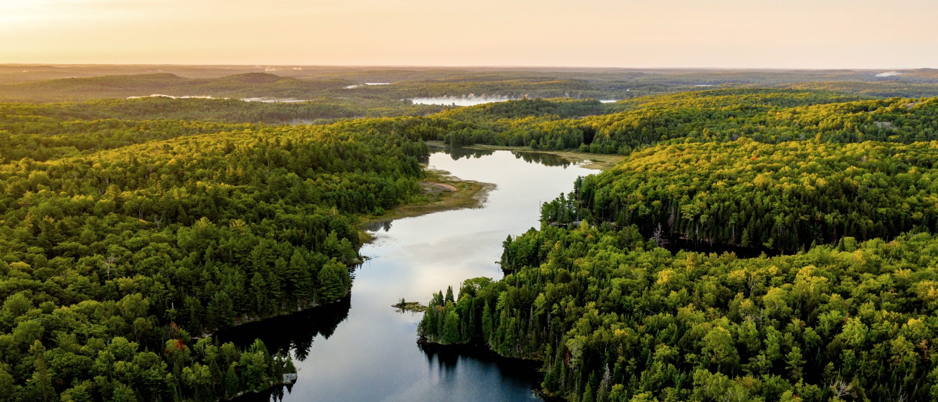 This image shows an aerial view of a landscape with a river or lake winding through a dense forest. The trees are green, and the sky appears to be a soft gradient, possibly during sunset or sunrise. The scene is natural and scenic.