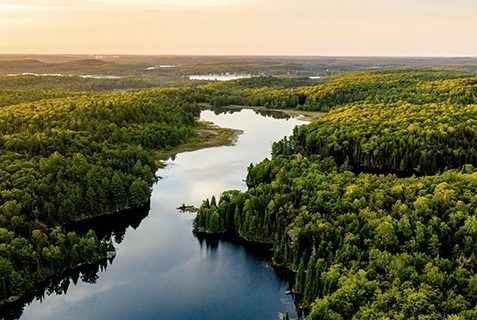 The image shows an aerial view of a forest landscape with a winding river or lake running through it. The sky is partly cloudy and the scene appears to be taken during sunset or sunrise, giving a warm glow to the surroundings.