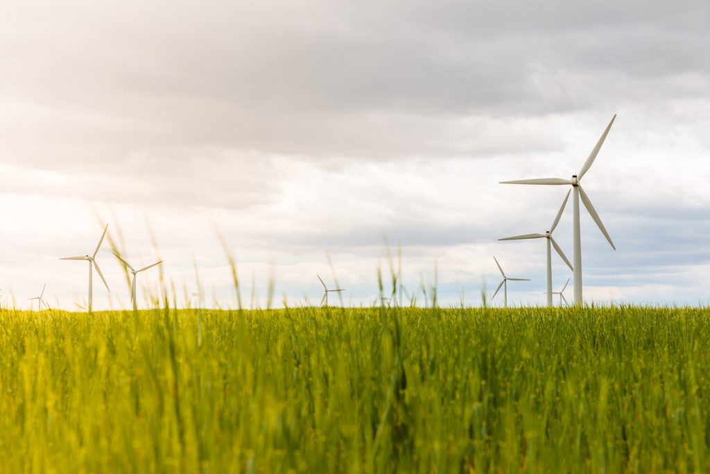 The image shows a field with tall grass and multiple wind turbines. The sky appears cloudy, and the wind turbines are used for generating renewable energy.
