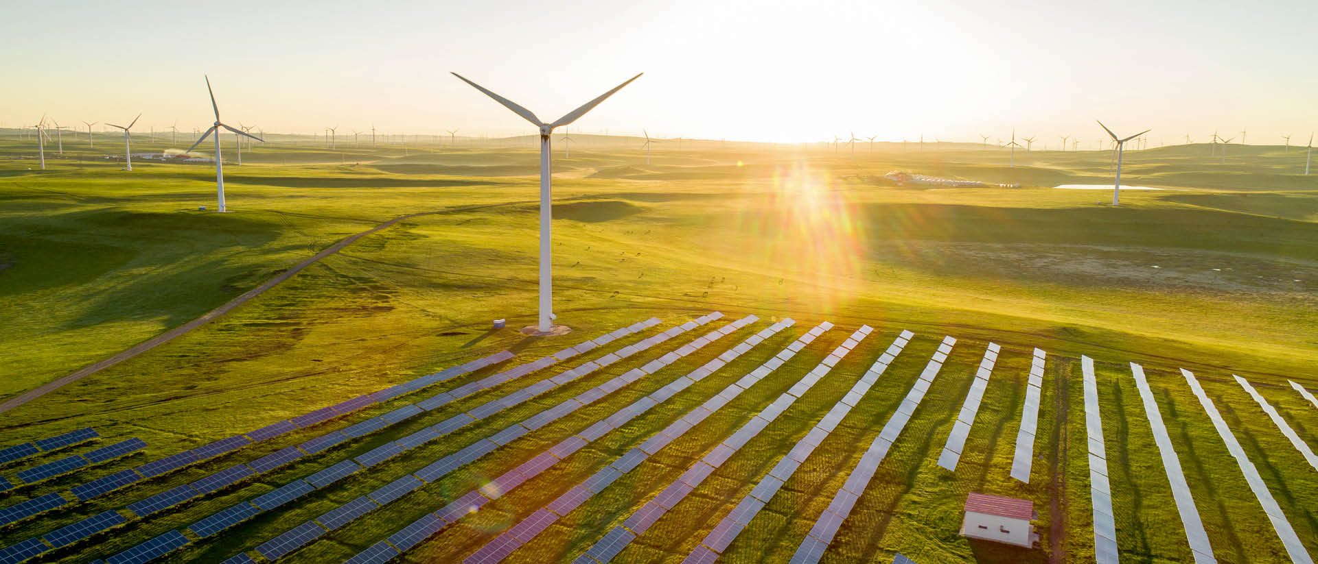 The image depicts a renewable energy landscape in which both wind and solar power sources are utilized. The scene features:

1. **Wind Turbines**:
   - Prominent structures rising from the grassy fields.
   - Large rotors mounted on tall towers.
   - Primarily designed to convert wind energy into electricity.

2. **Solar Panels**:
   - Several rows of photovoltaic panels.
   - Positioned on the ground to capture sunlight effectively.
   - Used to convert solar energy into electrical power.

3. **Rural Landscape**:
   - Extended grassland across the area.
   - Gentle hills providing a picturesque backdrop.
   - Highlighted by the warm sunlight appearing at dawn or dusk.

4. **Sunlight and Horizon**:
   - View of the sun near the horizon, casting light across the entire landscape.
   - Creates a bright and serene ambiance.

Overall, the image represents sustainable energy practices, combining wind and solar installations to harness natural resources effectively for electricity generation.