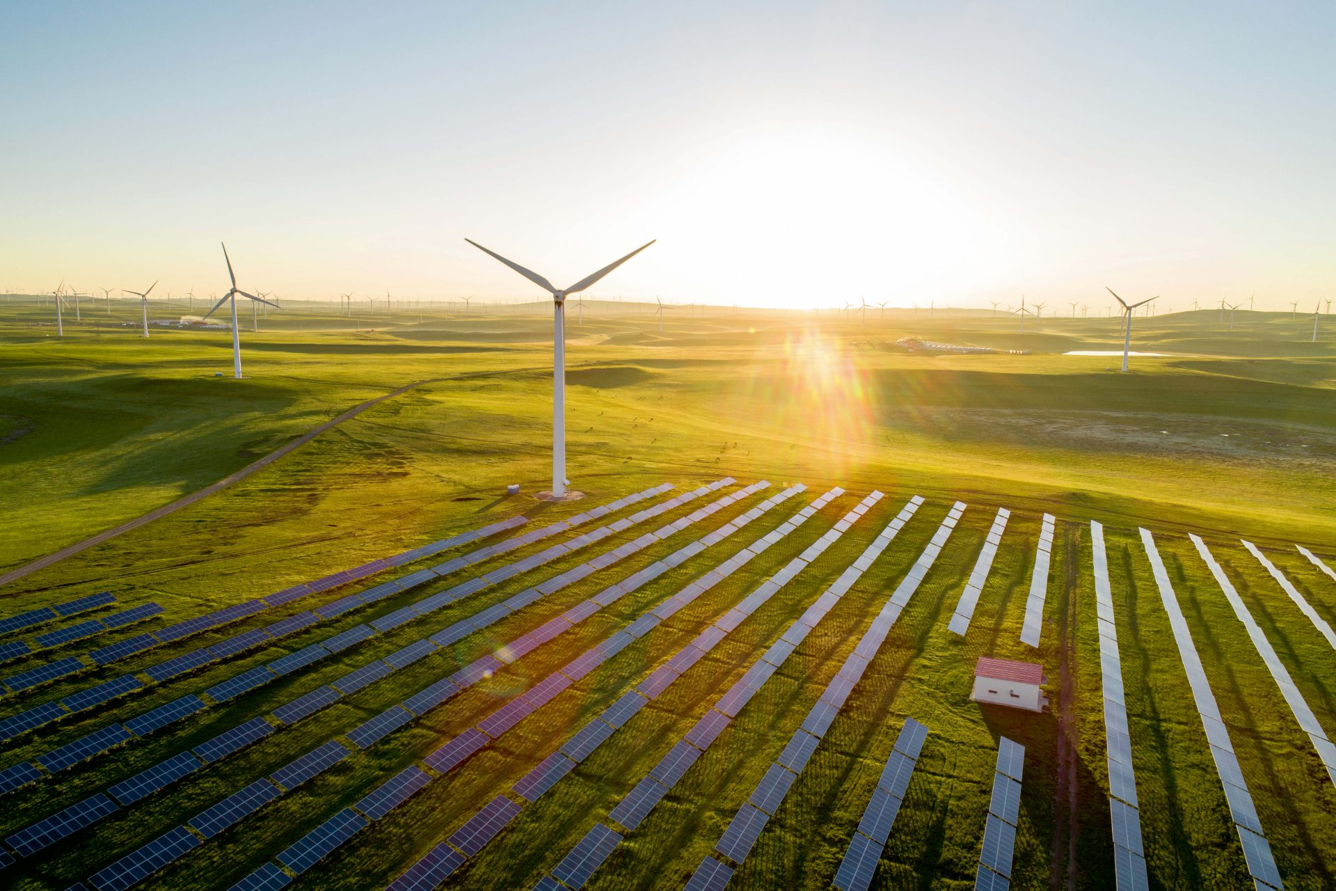 The image depicts a renewable energy landscape in which the following elements are visible:

1. **Solar Panels**:
   - A large array of solar panels is arranged in neat rows across the foreground of the image. 
   - These panels are designed to capture sunlight and convert it into electrical energy.

2. **Wind Turbines**:
   - Several wind turbines are seen in the background, with at least one prominently positioned in the center of the image.
   - Wind turbines harness wind energy to generate electricity.

3. **Open Green Field**:
   - The renewable energy infrastructure is situated within an expansive green field or pasture.
   - This suggests the integration of sustainable energy solutions within natural landscapes.

4. **Sunset/Sunrise**:
   - The sun is either rising or setting, casting a warm, golden light over the scene.
   - The sun's position and light contribute to the serene ambiance of the image.

Overall, this image showcases the harmony between nature and technology, highlighting efforts towards sustainable, eco-friendly energy production. It reflects an environment-conscious approach of utilizing solar and wind resources to contribute towards clean energy transition.