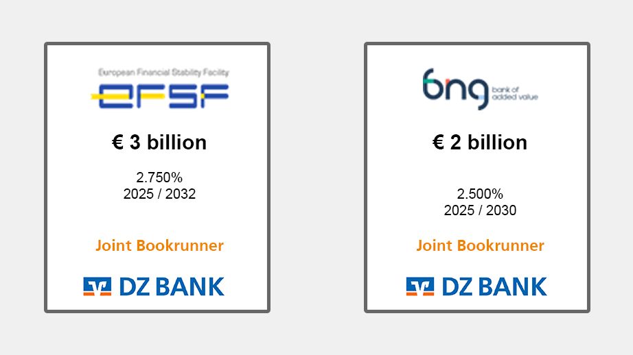 The image features two advertisements for financial bonds or debt instruments. They represent issuances from two different entities, each detailing the monetary amount, interest rate, and maturity years:

### Left Advertisement
- **Entity**: European Financial Stability Facility (EFSF)
- **Amount**: €3 billion
- **Interest Rate**: 2.750%
- **Maturity**: 2025 / 2032
- **Note**: "Joint Bookrunner" 
- **Logo**: DZ Bank

### Right Advertisement
- **Entity**: bng 'bank of societal value'
- **Amount**: €2 billion
- **Interest Rate**: 2.500%
- **Maturity**: 2025 / 2030
- **Note**: "Joint Bookrunner"
- **Logo**: DZ Bank

### Common Features:
- Both advertisements feature DZ Bank's involvement as a Joint Bookrunner, indicating DZ Bank's role in managing the issuance process for these bonds. 
- Each advertisement is formatted with the entity's logo and pertinent issuance details.

### Image Alignment:
- The graphic is split with one advertisement on the left and one on the right, organized in a tabular format with equal spacing and similar design elements.